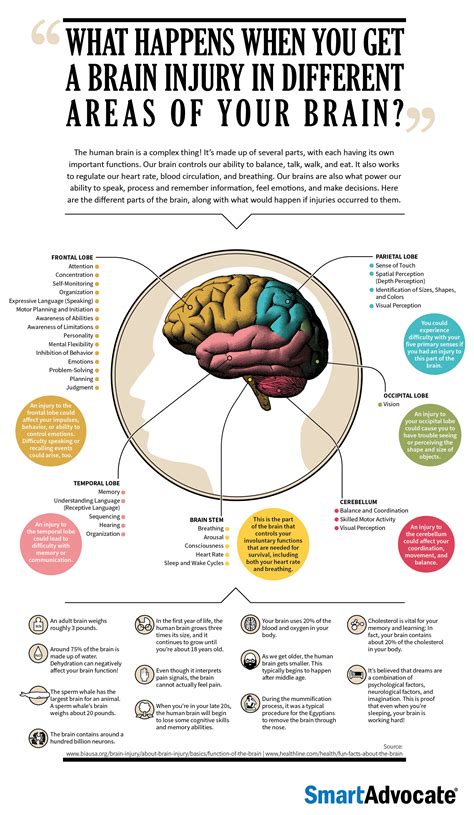 What Happens When You Injure Your Brain Daily Infographic