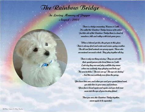 Ranked poetry on pets death, by famous & modern poets. Personalized Pet Memorial Poem The Rainbow Bridge For Loss ...
