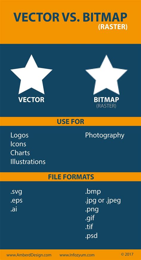 Vector Vs Bitmap Raster Infographic Web Graphic Design Digital