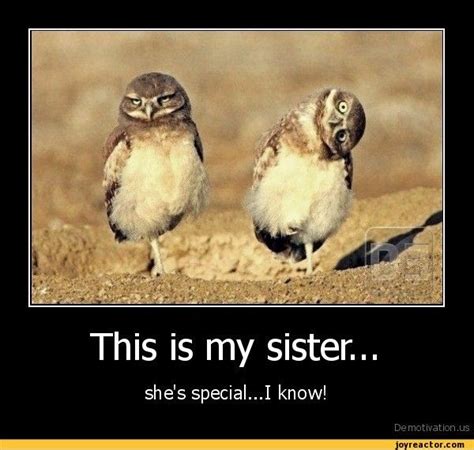 The 25 Best Funny Quotes About Sisters Ideas On Pinterest Sayings