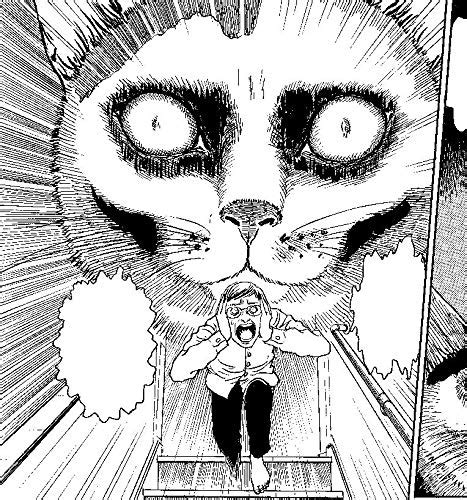 Junji Itos Cat Diary Yon And Mu Collectors Ed En O Taku Manga