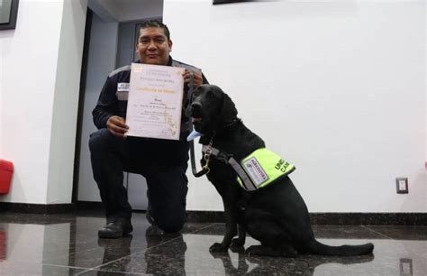 Reconoce Federación Canófila labor de binomios caninos