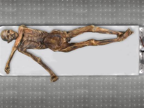 Ötzi Il Famoso Uomo Dei Ghiacci Delle Alpi Di 5300 Anni Era Un Uomo