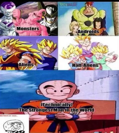 Krillin had a brief rivalry with goku when they first met and trained under master roshi, but they quickly became lifelong best friends. The best krillin memes :) Memedroid