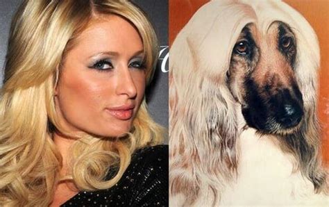 Celebrity And Dog Lookalikes Can You Match Them Celebrity Dogs