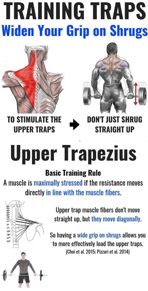 Traps Workout And Training Plan To Build Towering Traps