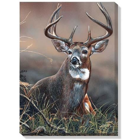 Majestic Whitetail Buck Wrapped Canvas Art Nature Art Prints