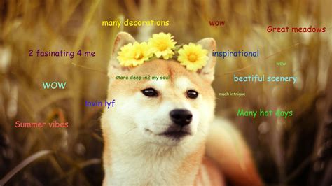 Funny Shiba Inu Meme Yahoo Image Search Results Dog