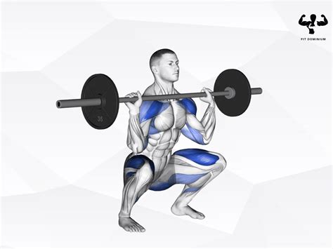 Barbell Thrusters How To And Benefits Fitdominium