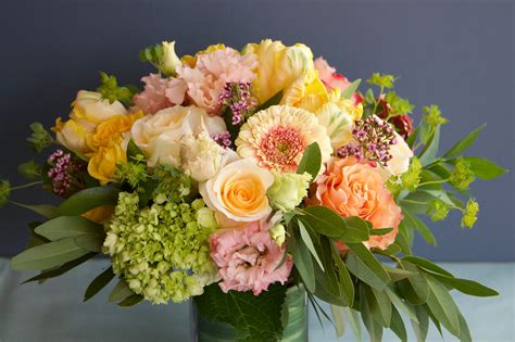 We did not find results for: Spring in Bloom in Montclair, NJ | Rosaspina