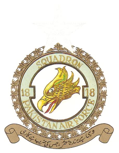 No 18 Squadron Pakistan Air Force Coat Of Arms Crest Of No 18