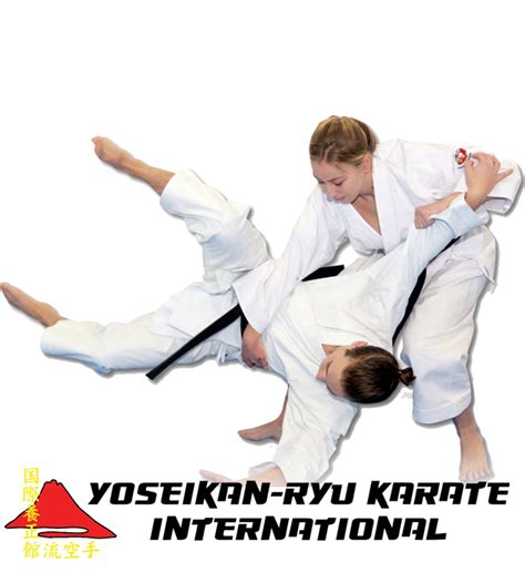 Self Defence Classes Perth Yoseikan Ryu Karate