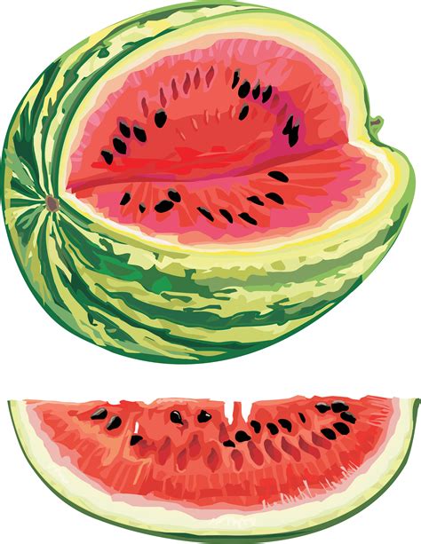 Watermelon Png Image Purepng Free Transparent Cc0 Png Image Library