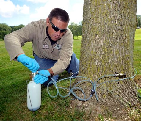 Protect Your Valuable Trees Now And In The Future By Joining The