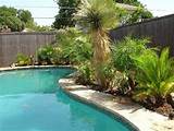 Photos of Louisiana Pool Landscaping