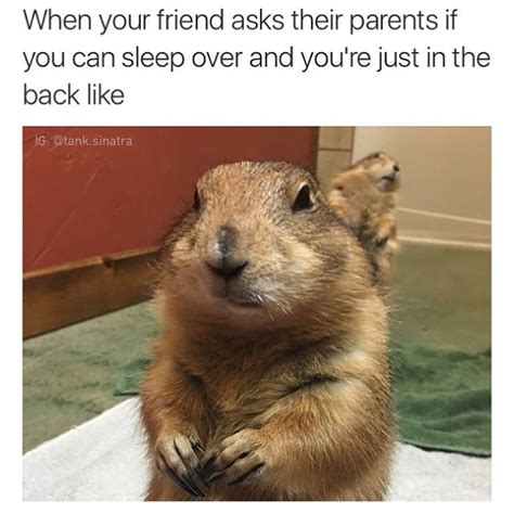 The funniest sub on reddit. 46 Funny Pics Guaranteed To Make You Laugh - Funny Gallery ...