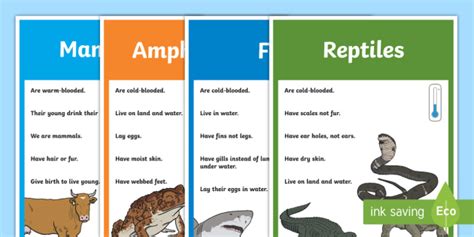 47 List Of Animal Group Names Png Temal