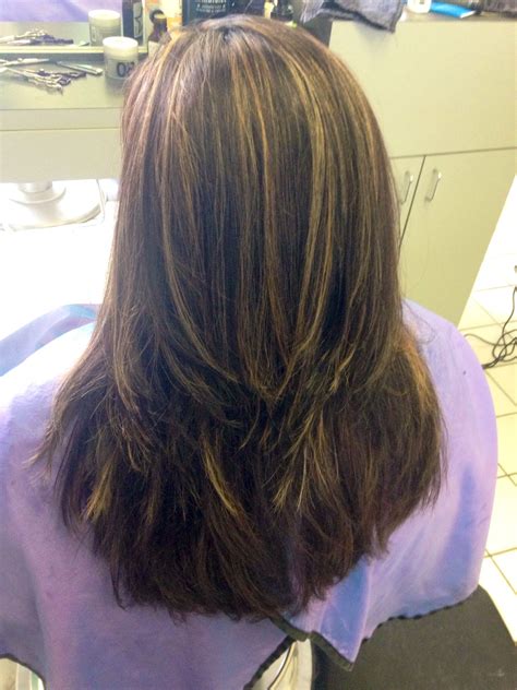 Brown hair with highlights is something you cannot go wrong with. Subtle blonde and carmel highlights in dark brown hair ...