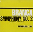 Symphony No. 2: Branca, Glenn: Amazon.ca: Music