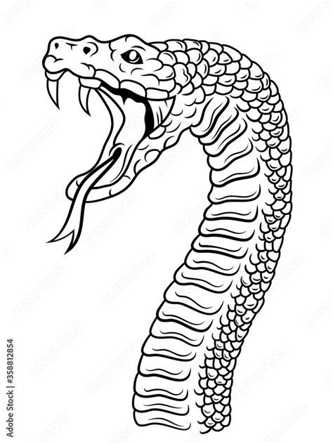 Illustration Of A Snake Head Of A Poisonous Snake With Open Mouth