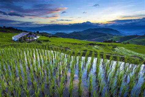 Terrace Rice Field Over The Mountain Thailand Thailand Property
