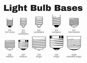 Discover The 55 Different Types Of Light Bulbs To Light Up Your World