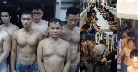 Informasi Media Pesta The Wild One 141 Lelaki Ditahan Dalam Serbuan