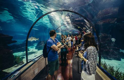 Aquarium In Barcelona Tourist Pass