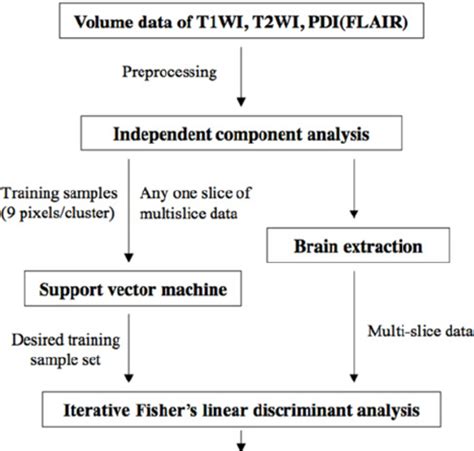 Flow Chart Of The Hybrid Classifier Coupling Ica Svm And Iflda For