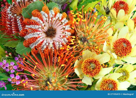 Australian Native Floral Bouquet Stock Image 75715435