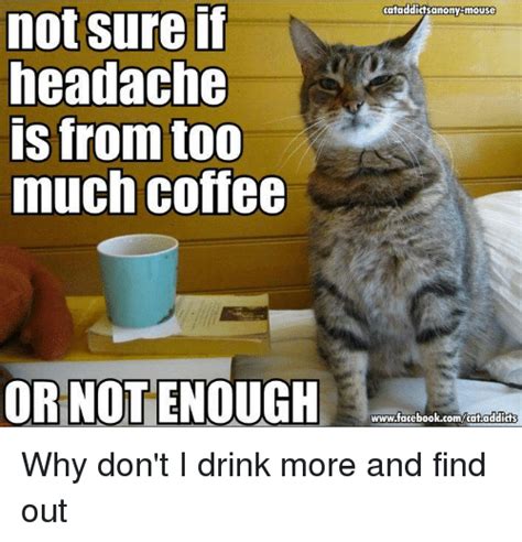 Check out all our blank memes. Not Sure if Headache Is From Too Much Coffee OR NOT ENOUGH ...