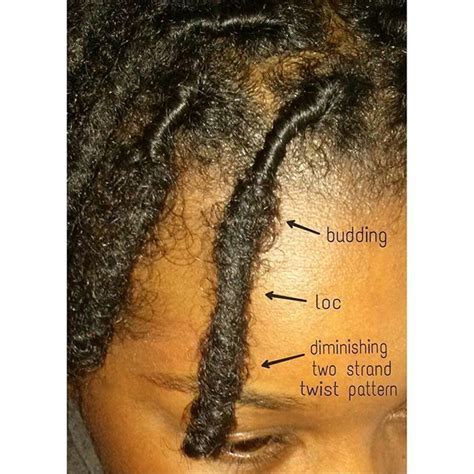 these are the stages your locs grow in what stage are you in short locs hairstyles