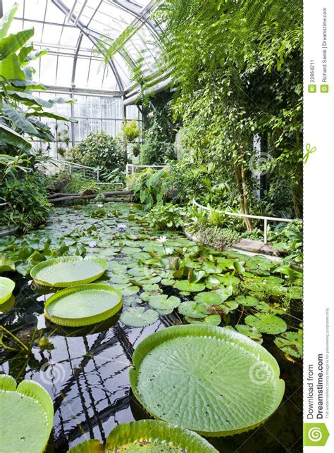 Aussicht, botanischer garten / arboretum, kapelle. Botanischer Garten, Prag stockbild. Bild von inside ...