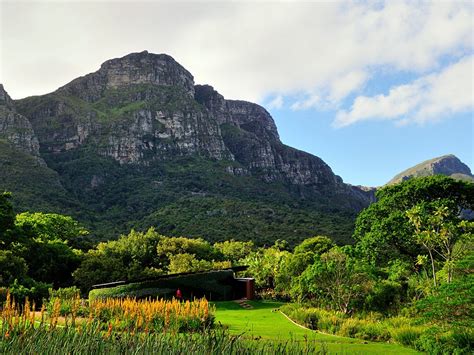 Kirstenbosch National Botanical Garden Cape Town South Africa Park