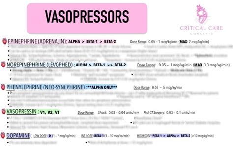 Vasopressor Reference Sheetconcept Map For Icu Nurses Etsy Uk