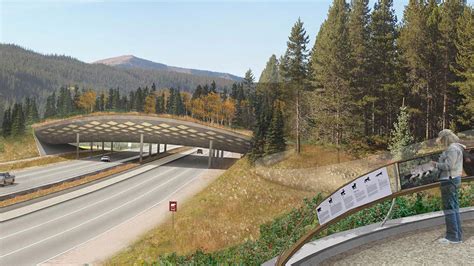 New Methods Wildlife Crossing Structures Arc Solutions Animal