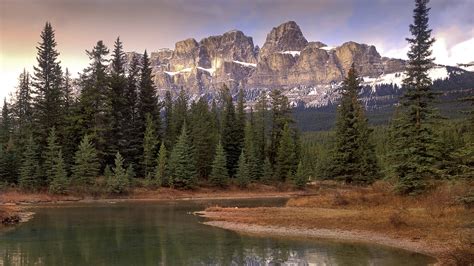 Wallpaper Boreal Forest Alberta Canada River Mountains Desktop