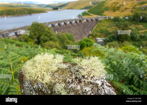 Graig Goch Reservoir And Masonry Dam In The Elan Valley Powys Wales