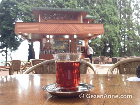 Rize cay modelleri ve en ucuz fiyatı. Rize Ziraat Çay Bahçesi | Gezen Anne