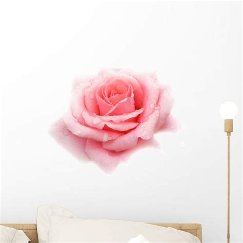 Pink Rose Wall Decal By Wallmonkeys Peel And Stick Graphic 18 In W X