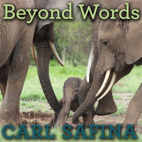 Listen To Beyond Words What Animals Think And Feel Audiobook By Carl