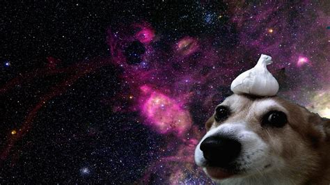 Garlic Doggo In Space Garlicdog