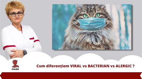 Care E Diferenta Intre Simptomele Virale Bacteriene I Alergice