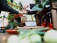Gemüse-Projekt in Brandenburg: „Wilmars Gaerten“ – fast so groß wie New ...