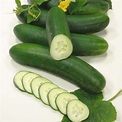 Cucumbers - Vegetables Photo (35203447) - Fanpop