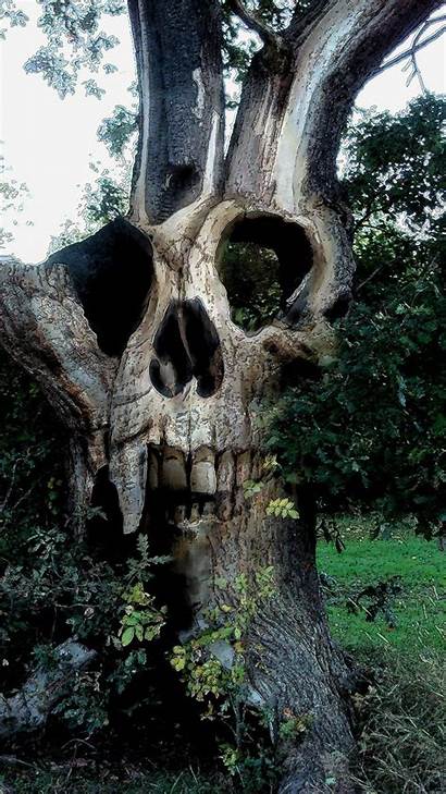 Skull Tree Death Gothic Skulls Carving Awesome