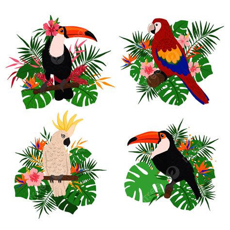 Hand Drawn Tropical Vector Hd Images Tropical Birds Set With Floral