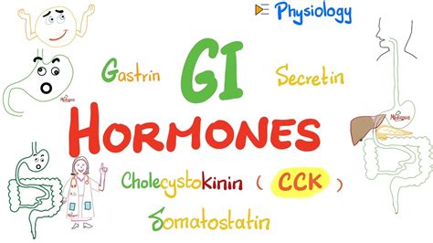 Gastrointestinal Secretions Hormones Gi Physiology Series