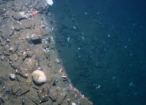 Nearly 30000 High Definition Images Of The Deep Arctic Ocean Floor