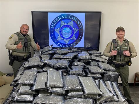 Routine Traffic Stop Leads to Major Marijuana Bust in Minera